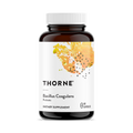 Thorne Bacillus Coagulans – front view