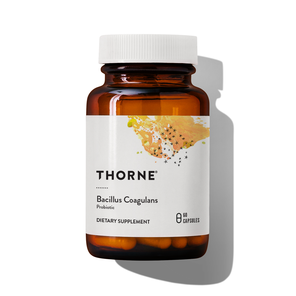 Thorne Bacillus Coagulans – flatlay view